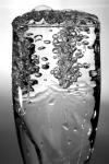 Champagne bubbles bw.jpg